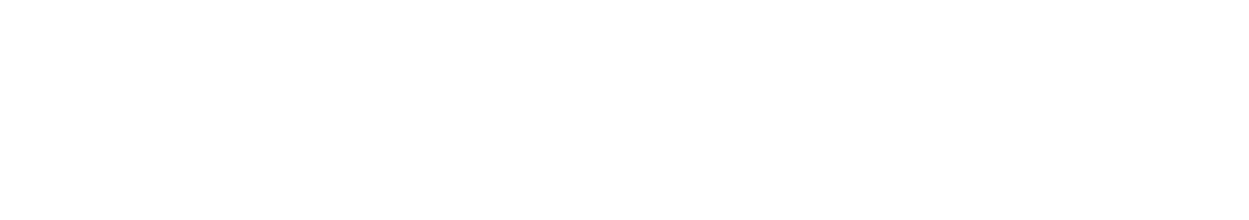 Advenser Academy Logo